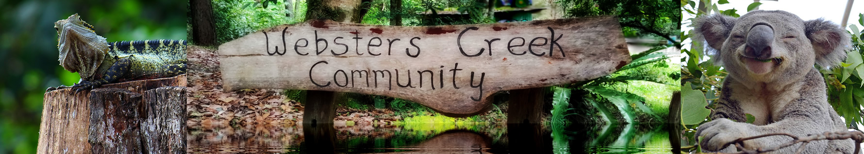 Websters Creek Community